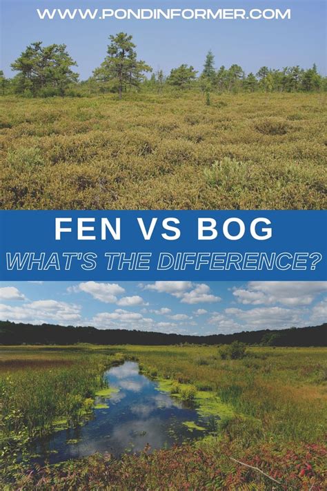 fen vs the crew|Is there much difference between The Crew and Fen : .
